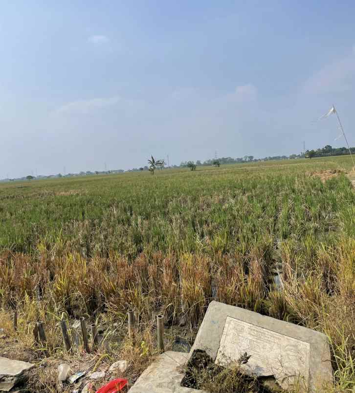 dijual tanah desa suka asih