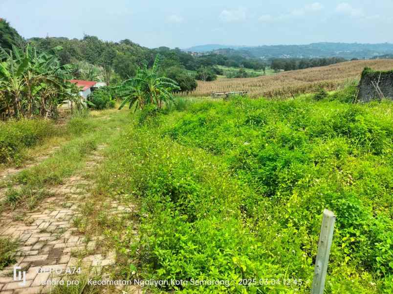dijual tanah di kawasan candi manyaran semarang