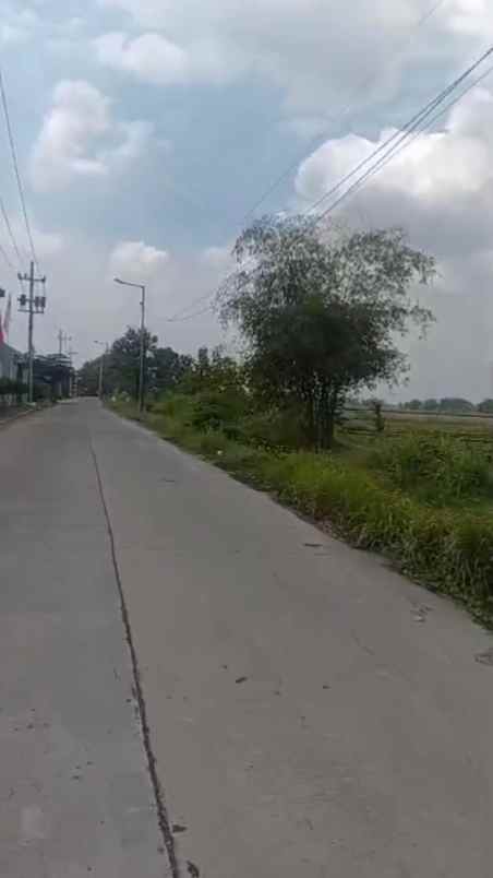 dijual tanah di mojokerto