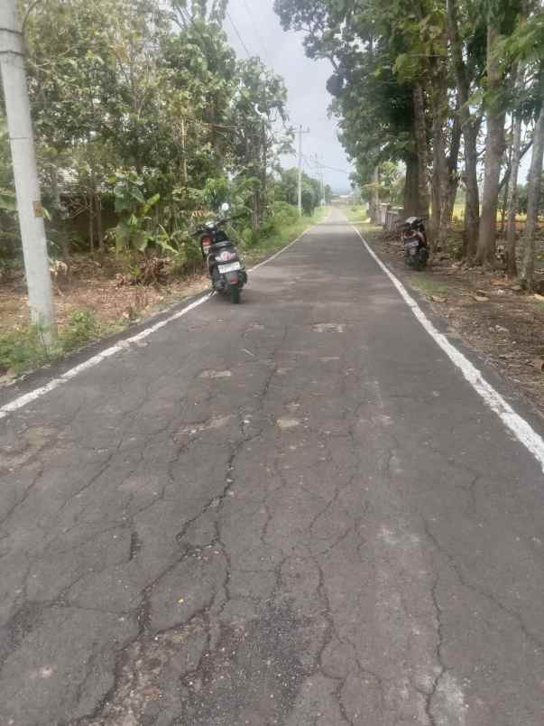 dijual tanah dijual tanah di untuk rejo