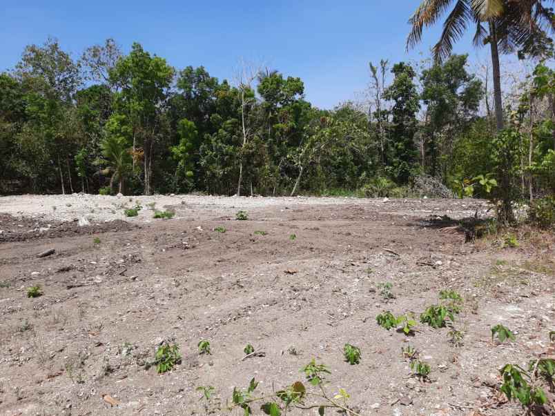 dijual tanah gamping sleman yogyakarta