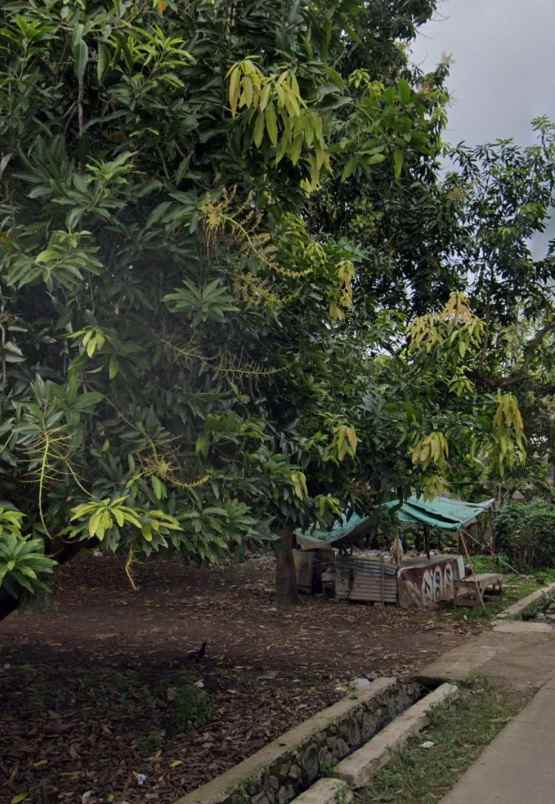 dijual tanah gang sirnaraga rt 03 rw 04