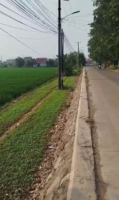 dijual tanah jalan pertamina babelan