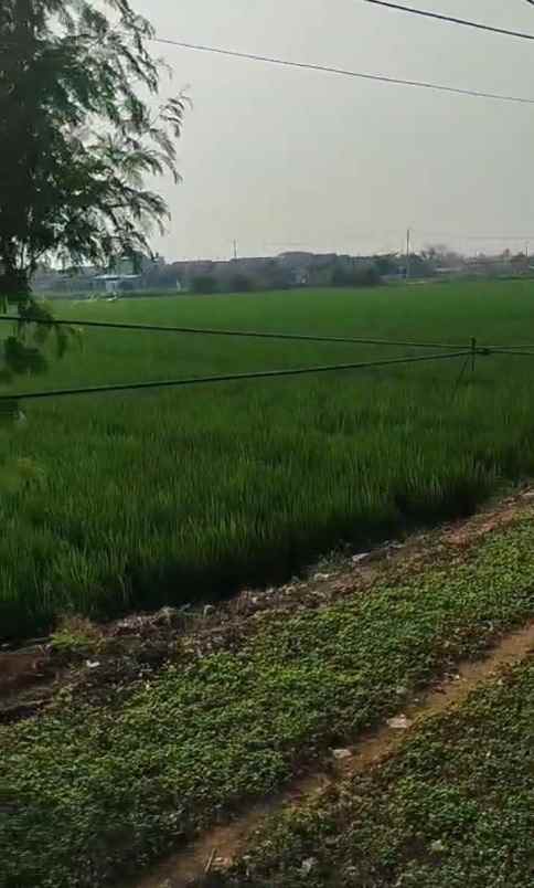 dijual tanah jalan pertamina babelan