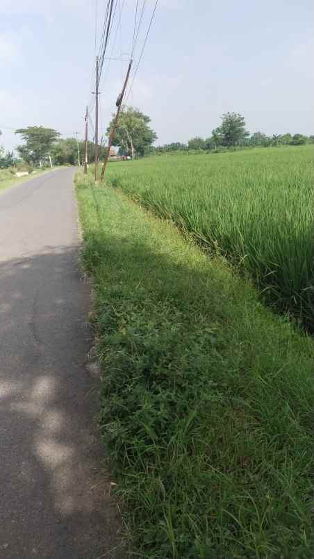 dijual tanah jalan pu desa rancahan