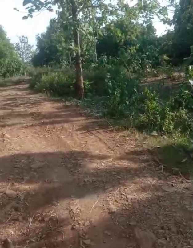 dijual tanah jalan rawa bolang