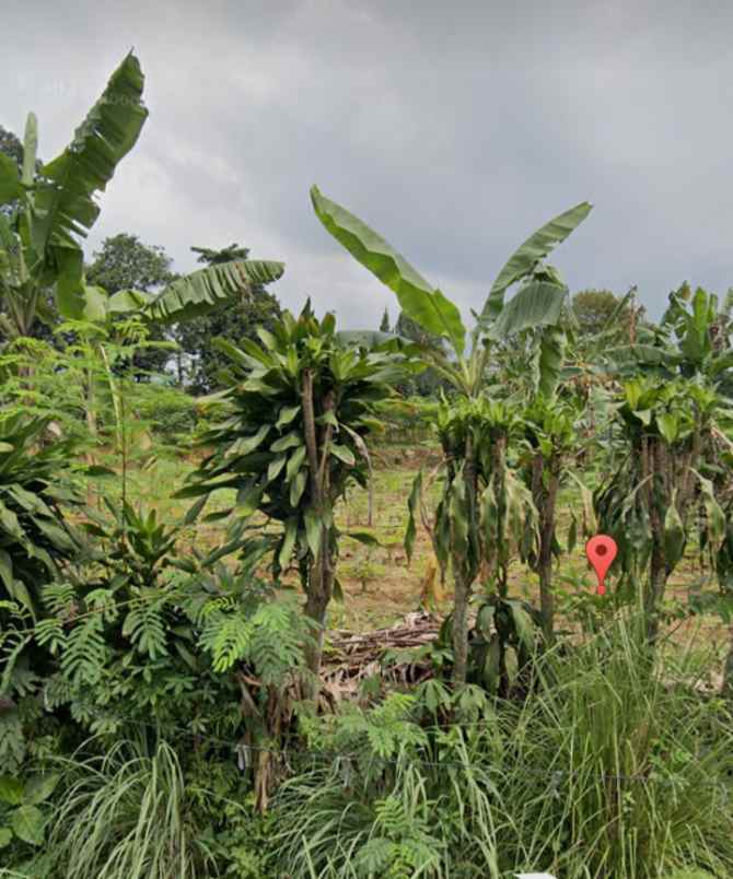 dijual tanah jalan raya cijayanti