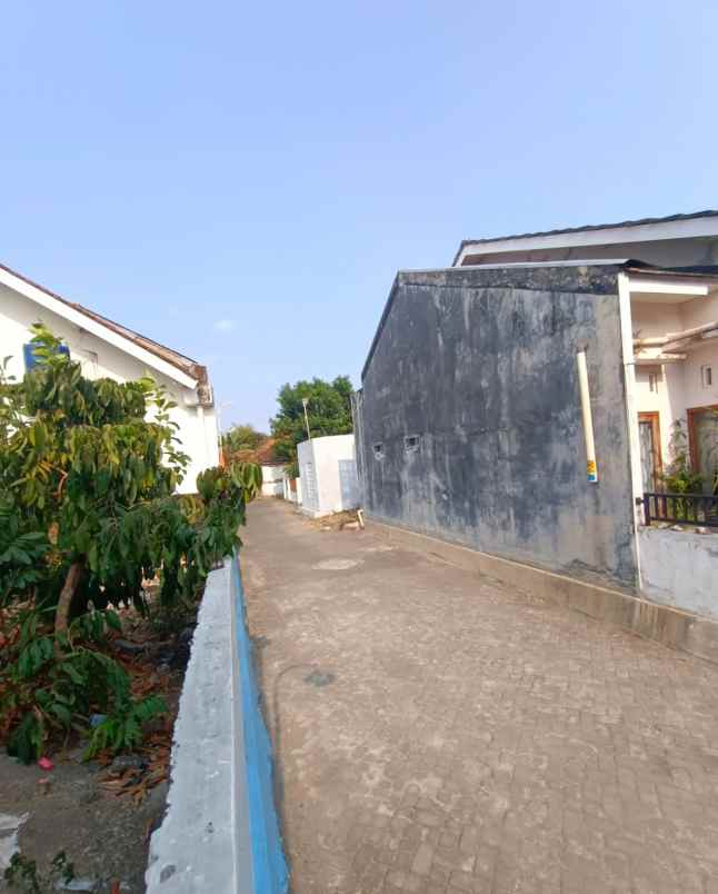 dijual tanah jambo