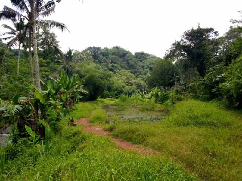 dijual tanah jl alternatif sagalaherang