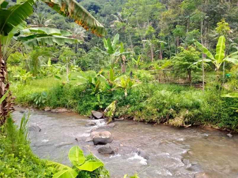 dijual tanah jl alternatif sagalaherang