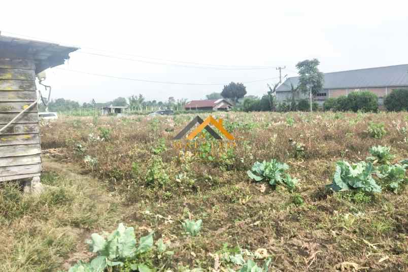 dijual tanah jl barusjahe barusjulu kec