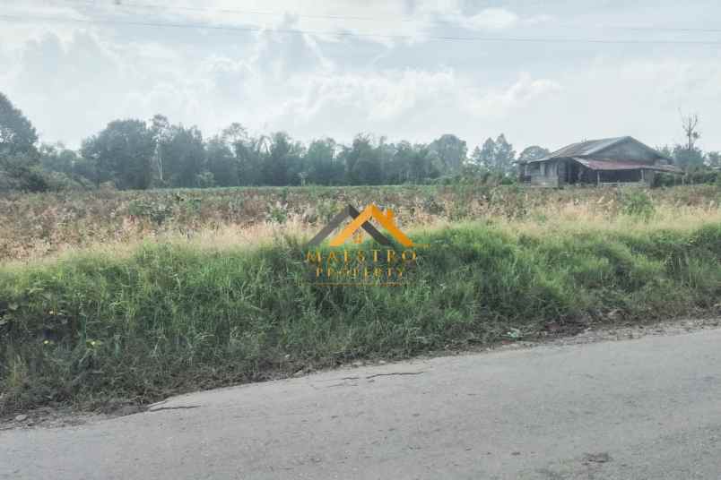 dijual tanah jl barusjahe barusjulu kec