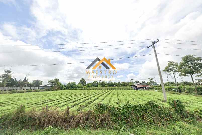 dijual tanah jl barusjahe barusjulu kec