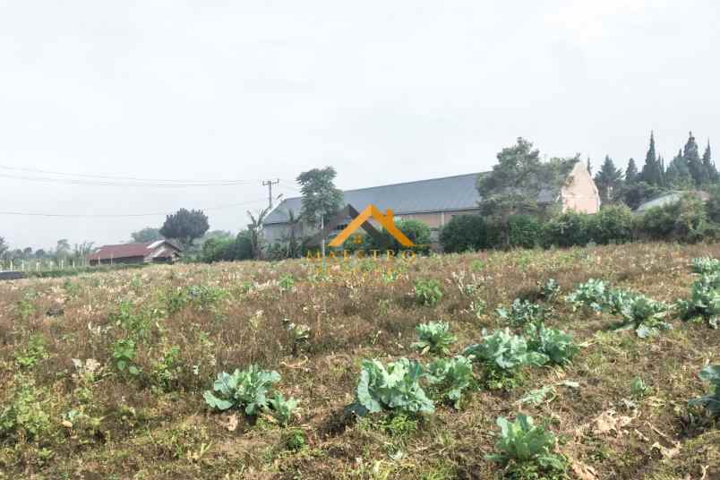 dijual tanah jl barusjahe barusjulu kec