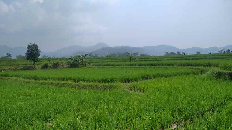 dijual tanah jl ciseah 64 kopo kec