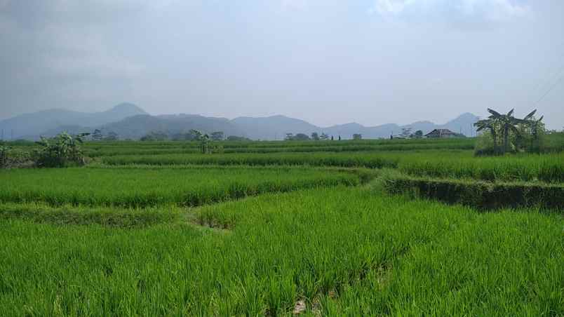 dijual tanah jl ciseah 64 kopo kec