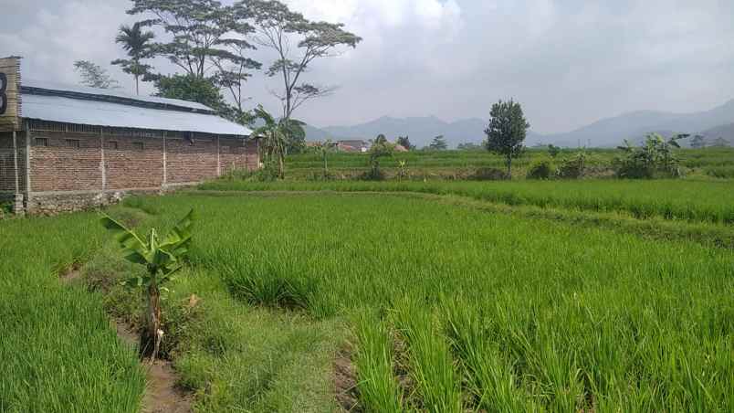 dijual tanah jl ciseah 64 kopo kec