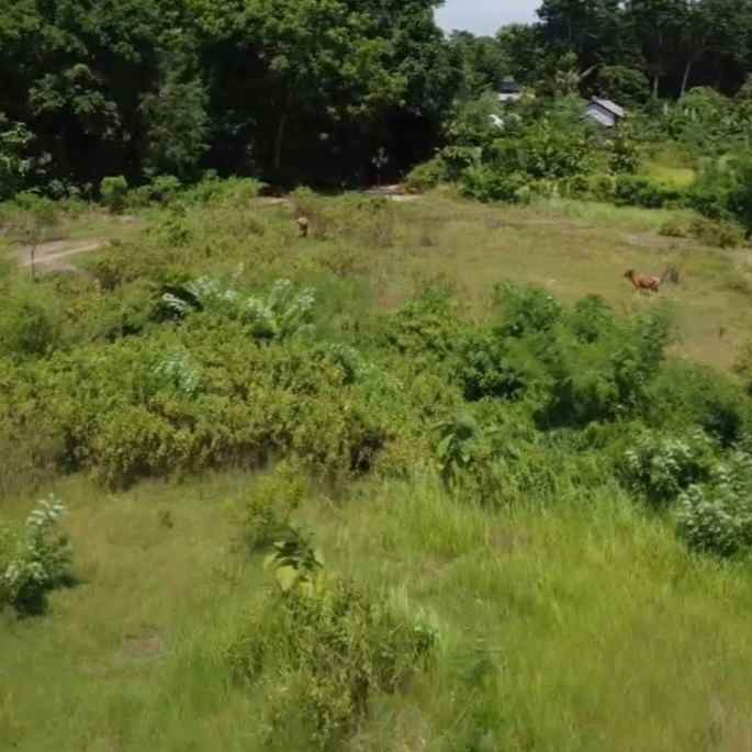 dijual tanah jl melasti ii