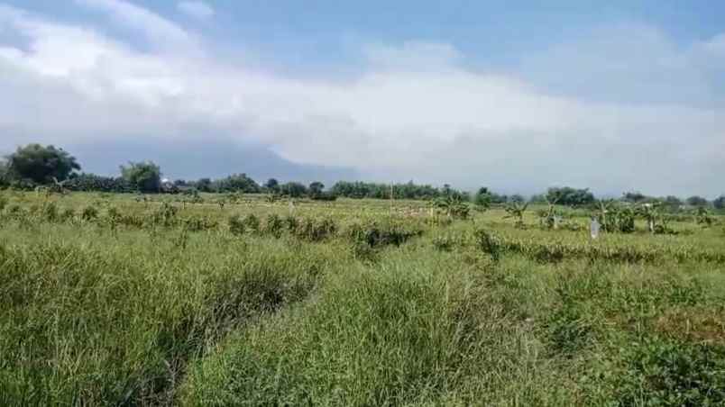 dijual tanah jl raya provinsi kembang