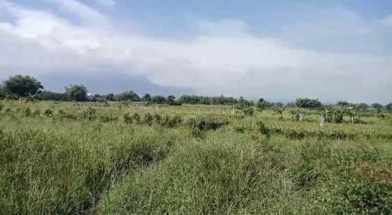 dijual tanah jl raya provinsi kembang