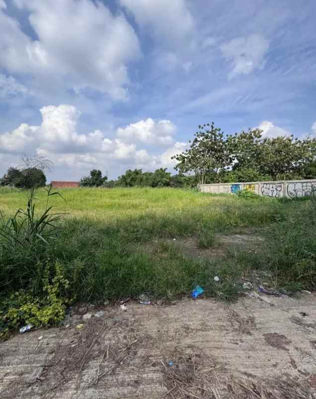 dijual tanah jl raya rawabuntu bsd rawa