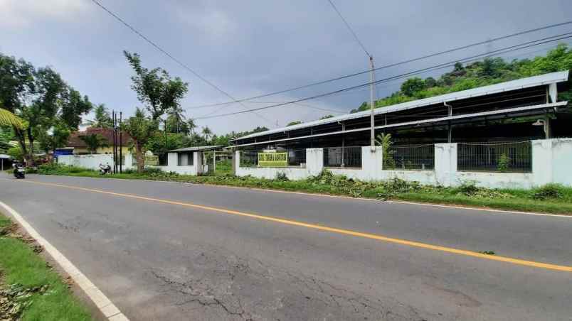 dijual tanah jl raya seririt gilimanuk
