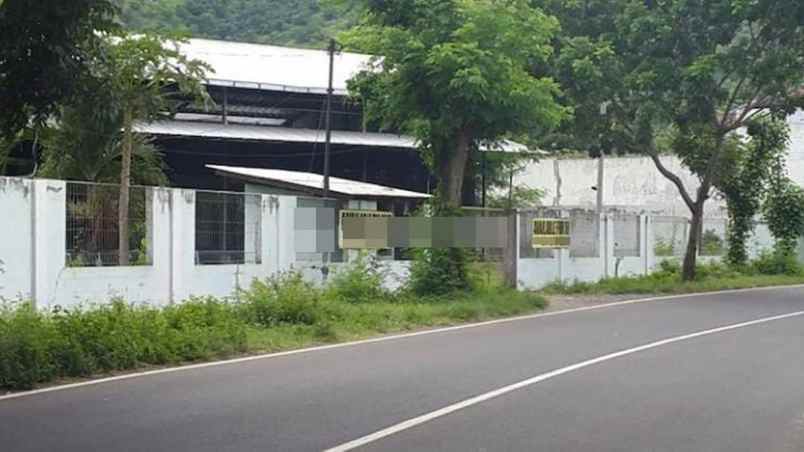 dijual tanah jl raya seririt gilimanuk