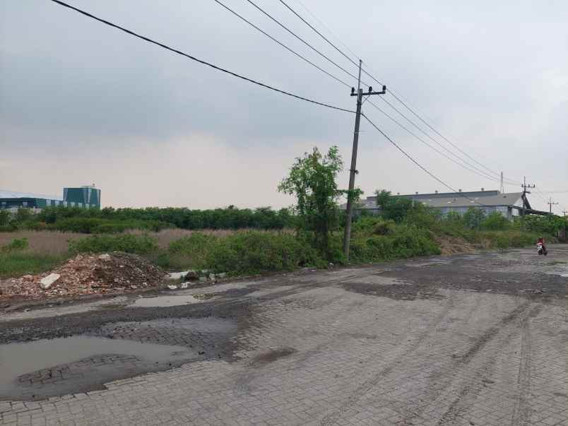 dijual tanah jl raya tambak osowilangun