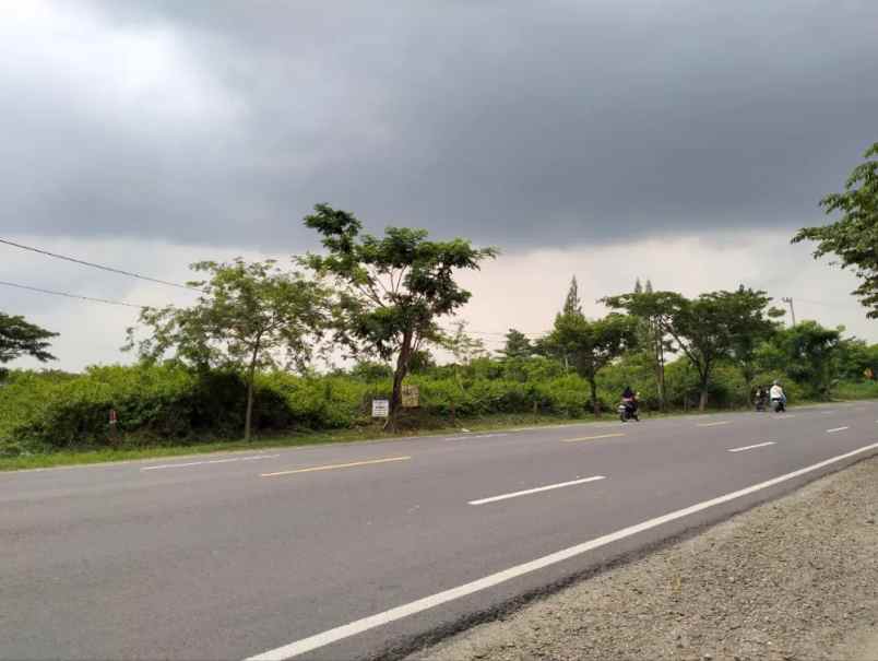 dijual tanah jl raya widang