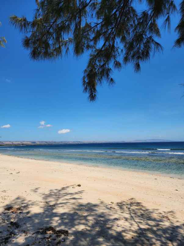 dijual tanah kanatang sumba timur