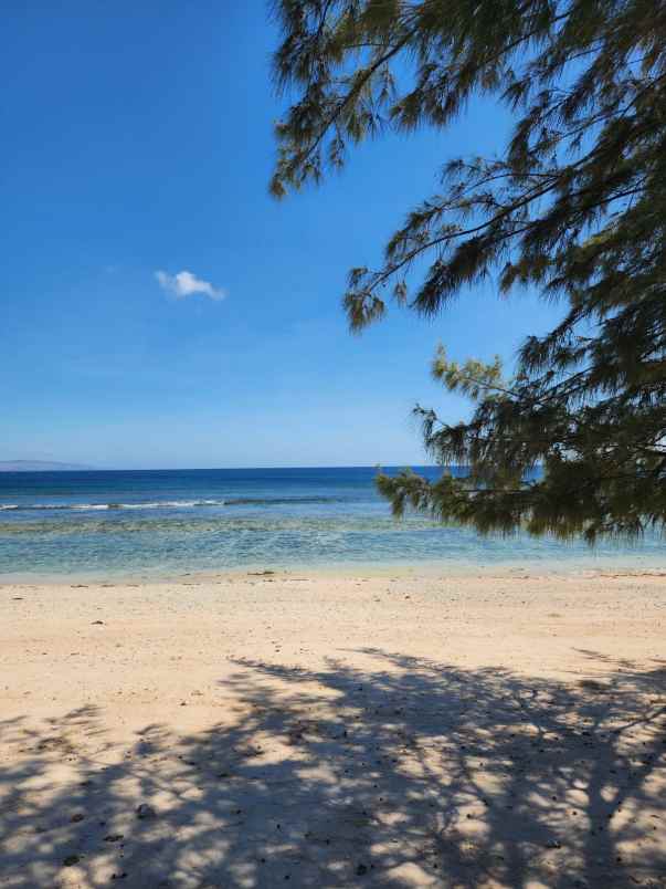 dijual tanah kanatang sumba timur