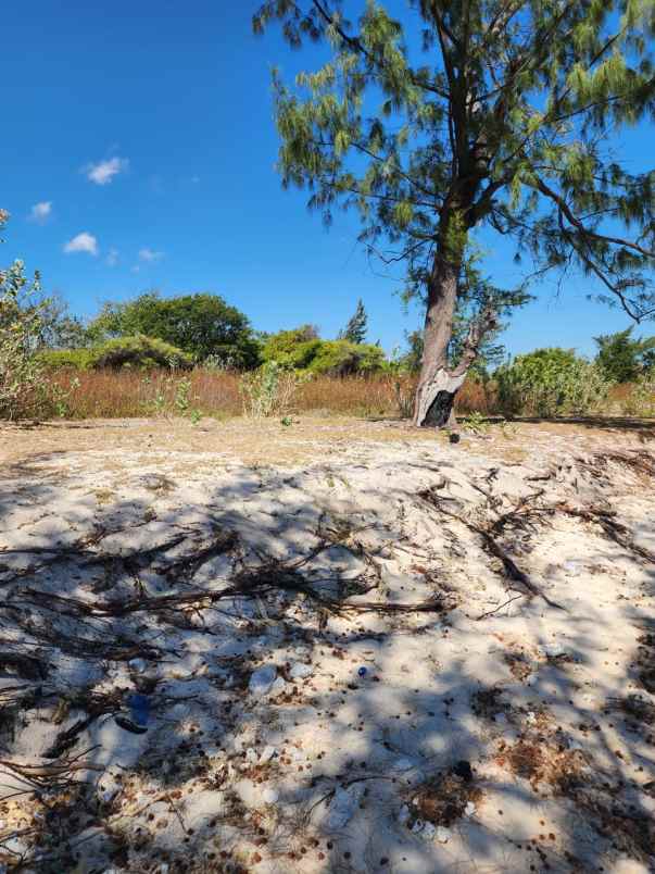 dijual tanah kanatang sumba timur