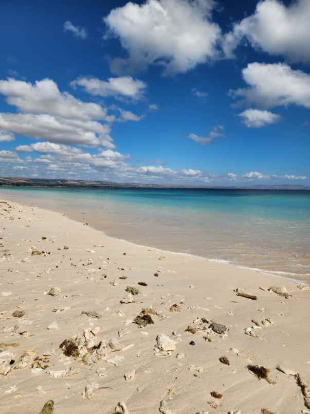 dijual tanah kanatang sumba timur