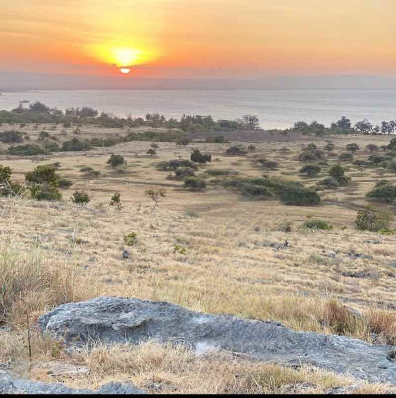 dijual tanah kanatang sumba timur