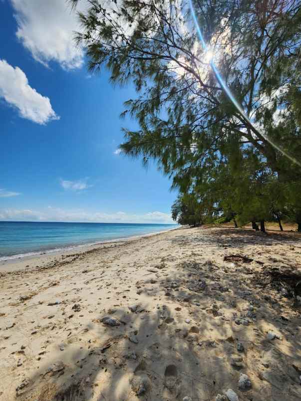 dijual tanah kanatang sumba timur