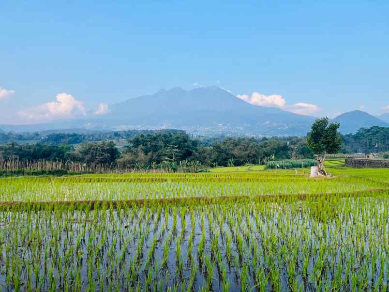 dijual tanah karangpandan karanganyar