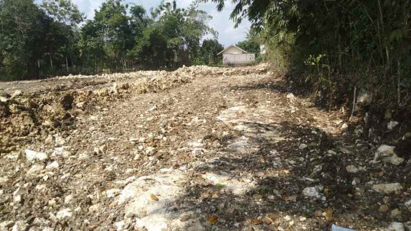 dijual tanah karangrejek gunung kidul