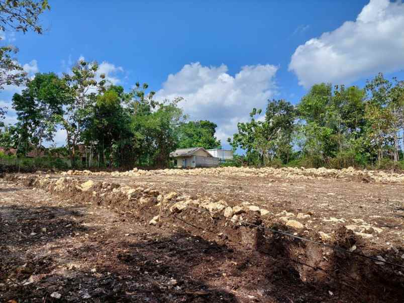 dijual tanah karangrejek gunung kidul