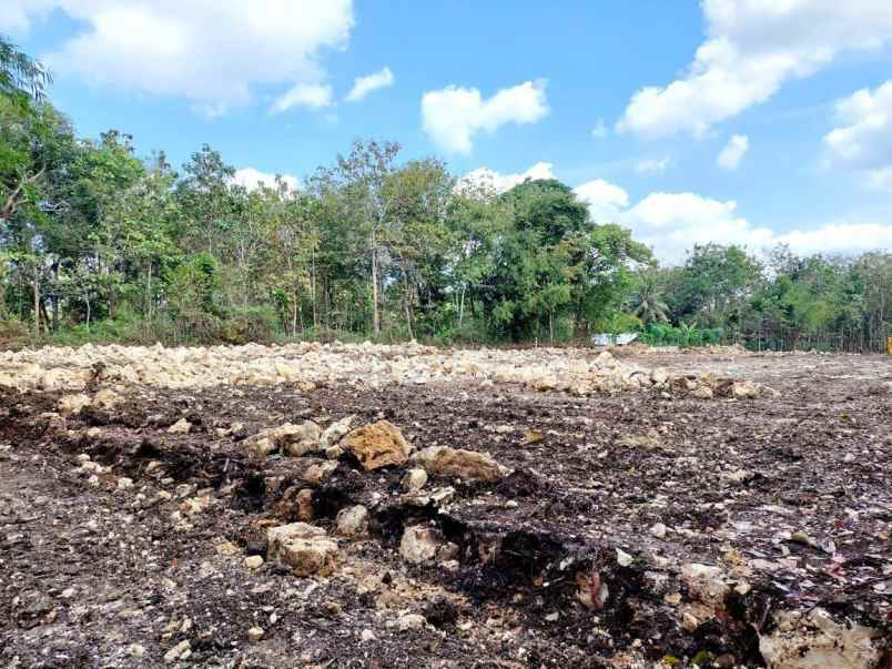 dijual tanah karangrejek gunung kidul