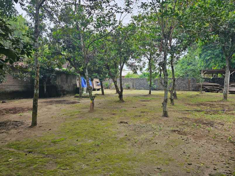 dijual tanah kasuran kelurahan