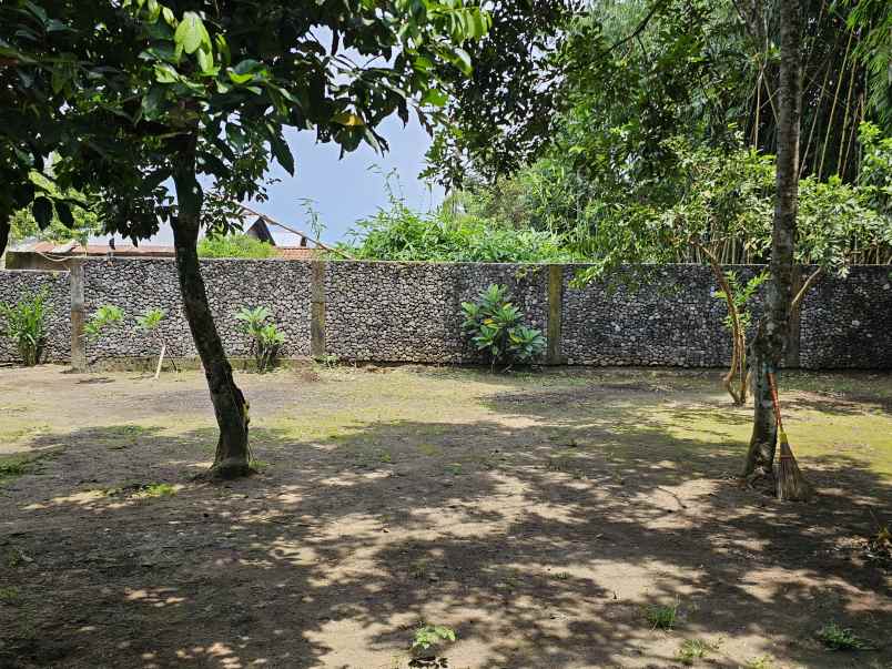 dijual tanah kasuran kelurahan