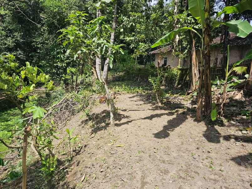 dijual tanah kasuran kelurahan