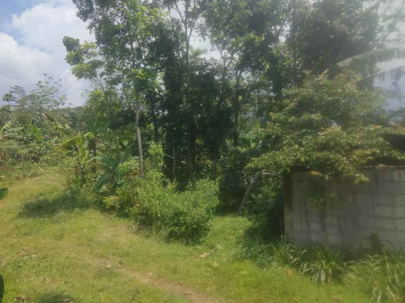 dijual tanah kebun akses jalan mobil