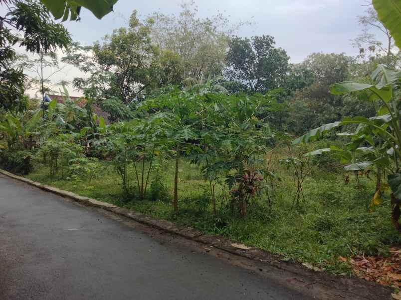 dijual tanah kebun akses jl mobil lingkungan penduduk
