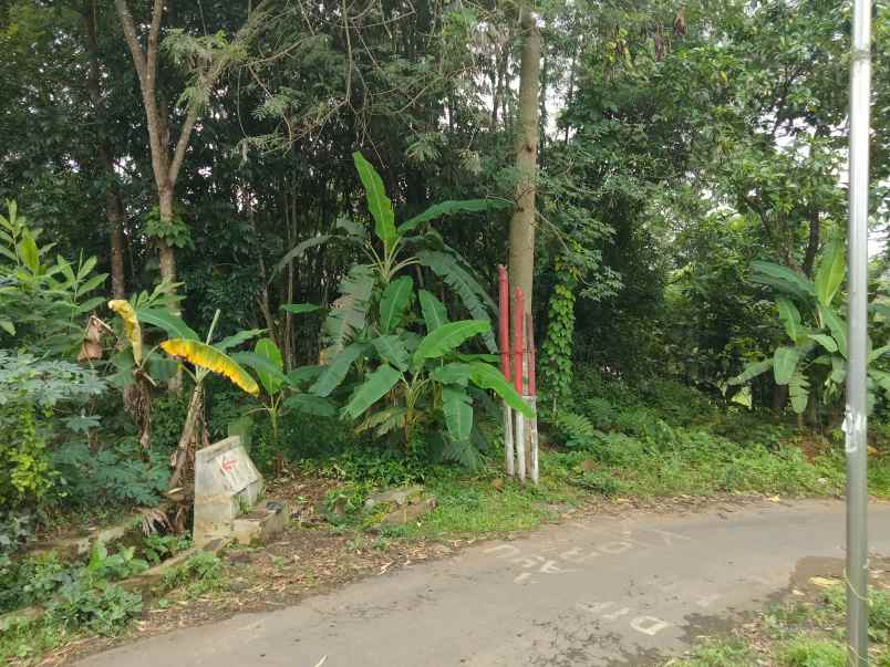 dijual tanah kebun pinggir jalan desa