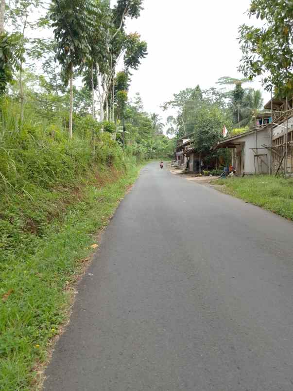 dijual tanah kebun produktif pinggir jalan