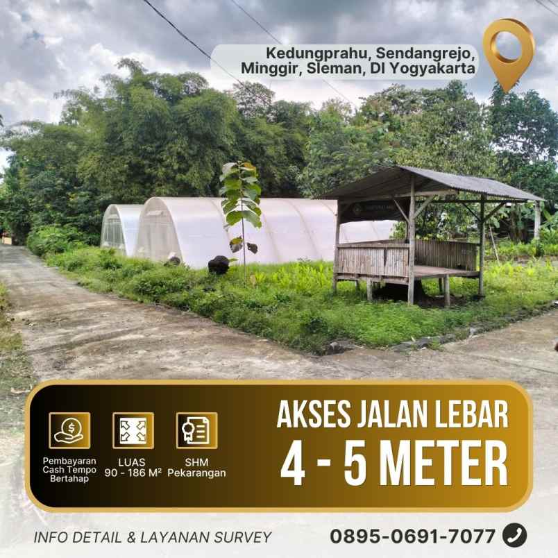 dijual tanah kedungprahu sendangrejo