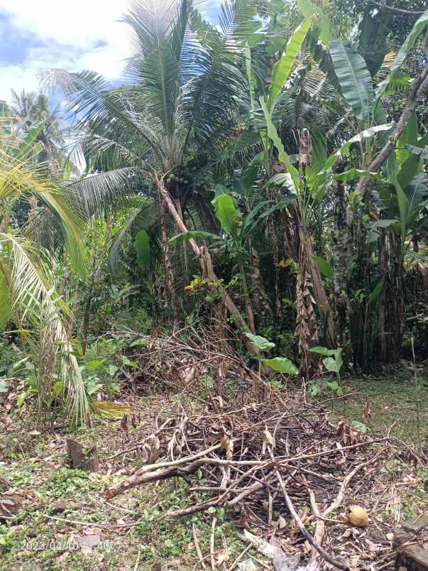 dijual tanah kerambitan tabanan bali