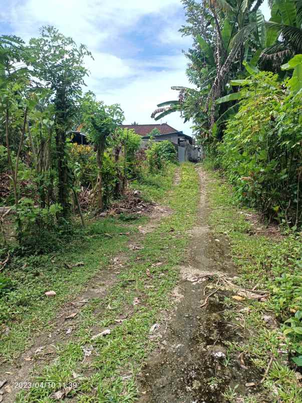 dijual tanah kerambitan tabanan bali
