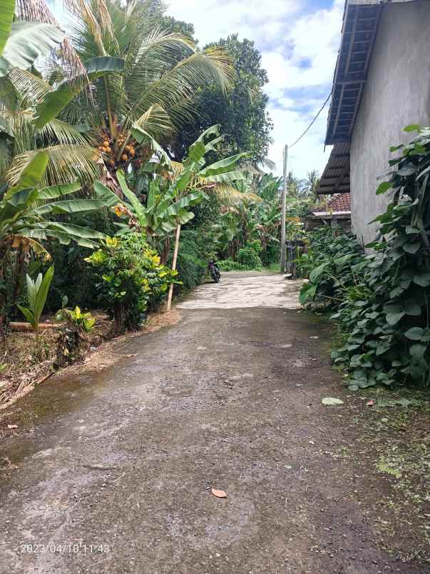 dijual tanah kerambitan tabanan bali